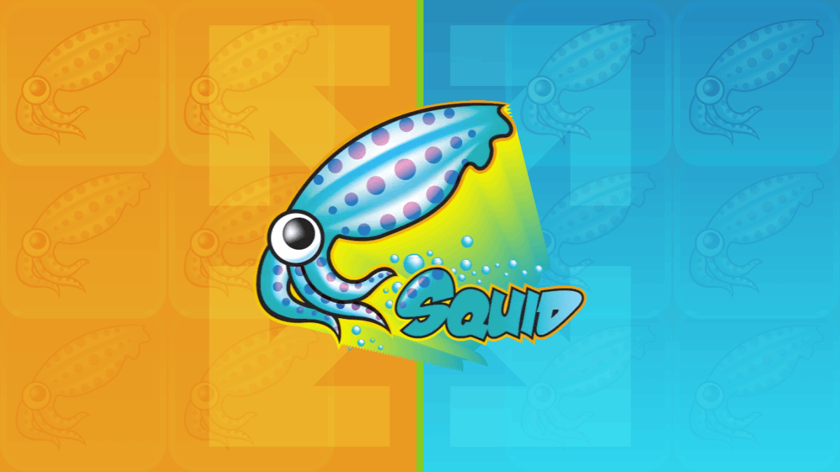 The Missing Half - Network Security and Squid